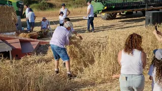 Kibbutz Ruhama Shavuot Celebration Ceremony -  Manual Wheat Harvest 04/06/2022