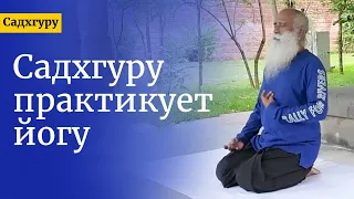 Садхгуру практикует йогу