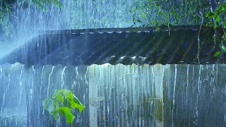 Sleep Instantly with Soothing Rain Sounds and Thunderstorm in Dark Night - Sleeping Rain White Noise