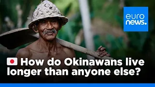 How do Okinawans live longer than anyone else?
