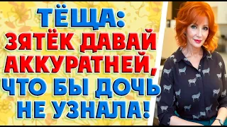 Тёща и зять при каждом удобном случае встречались…