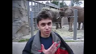 me at the zoo sub 4 sub video