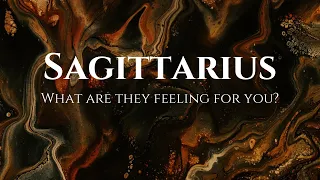 Sagittarius ❤️ What are they currently feeling for you? defeated? regrets? options? Oof this messy.