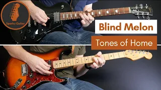 Tones of Home - Blind Melon (Guitar Cover)