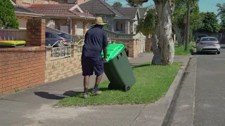 Green lid bin