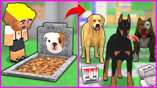 KÖPEK ÇETESİ RIFKININ İNTİKAMINI ALDI!😱 - Minecraft