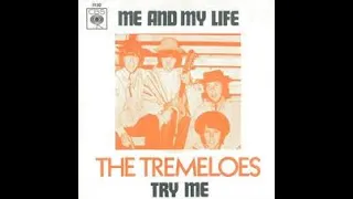 The Tremeloes Me And My Life Lyrics