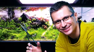 HE IS BACK! ..With a STUNNING Aquarium MAINTENANCE!