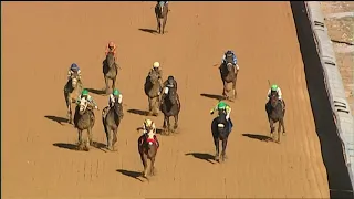 Laurel Park 11 13 2021 Race 5