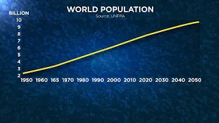 Население Земли со дня на день достигнет 8 миллиардов. Хорошо это или плохо?…