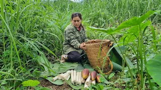 The girl went alone into the forest to find wild vegetables and the ending was perfect.