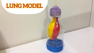 How to make lung model