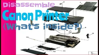 Disassemble Canon Printer ( What's inside )