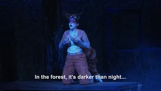 Vixen's aria from Janáček's "The Cunning Little Vixen"