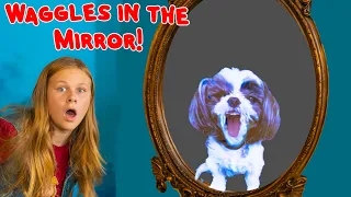 Assistant Solves Riddles to Rescue Waggles from the Magic Mirror