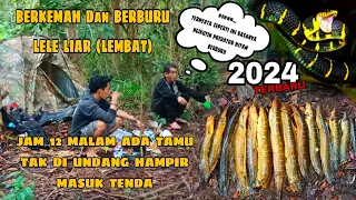 UNIK CARA PASANG TAJURANNYA ‼️ dapat banyak Berburu lele hutan & berkemah di hutan.. #predatorhitam