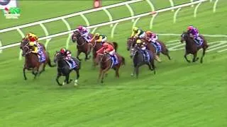 Chautauqua - TJ Smith Stakes 2015