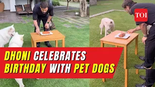 MS Dhoni celebrates 42nd birthday with pet dogs in Ranchi; viral video captures heartwarming moment