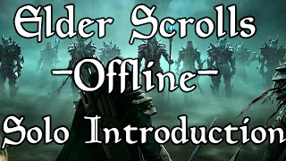 Elder Scrolls Online (Offline) (always online singleplayer experiance)