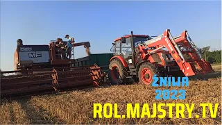 Żniwa 2023 na Wesoło ☆ Massey Ferguson 520 & Zetor Major cl80 ✔ RolMajstryTV