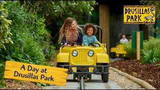 Drusillas Park | The Best Family Day Out in Sussex