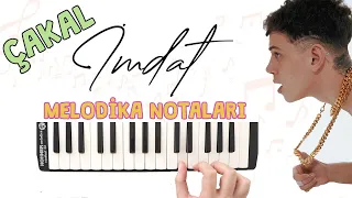 Çakal - İMDAT Melodika Notaları - Melodika Şarkıları