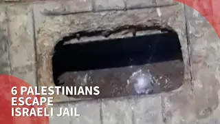 6 Palestinian prisoners escape from Israeli jail