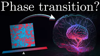 Brain Criticality - Optimizing Neural Computations