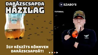 Darázscsapda házilag