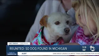 San Diego dog missing 8 months found in Michigan