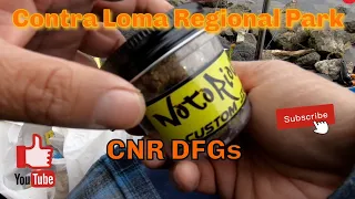 Episode 80: Notorious Crackbait works on DFG rainbows at Contra Loma @ NoSkunkAdventures