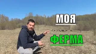 ХОЗЯЙСТВО НА ХУТОРЕ / АПРЕЛЬ / ЖИВЕМ НА ЗЕМЛЕ