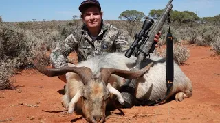 Hunting Wild Goat  - Tikka T3x 7mm RemMag. Ep.9
