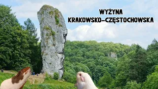 Krajobraz krasowy Wyżyny Krakowsko-Częstochowskiej (geografia - lekcja online dla klasy 5)