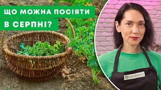 ЩЕ ВСТИГАЄТЕ ПОСІЯТИ! | Які культури можна сіяти в серпні? | Agro-Market.ua