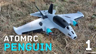 AtomRC Penguin (1/3)