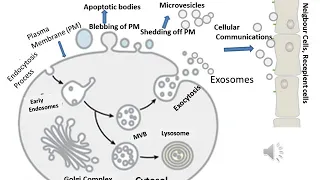 Extracellular Vesicles-Talk by Dr  Sanjay Kumar