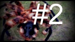 Mutant Giant Spider Dog (SA Wardega) #2