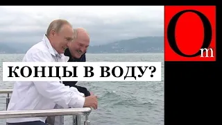 Лукашенко привез в Сочи президента союзного государства. Путин скормил его рыбам
