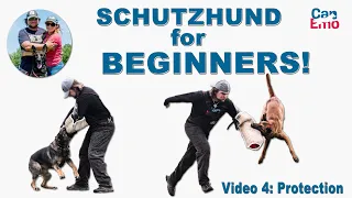 Schutzhund For Beginners: Protection!