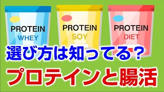 腸内環境の専門家が教える　プロテインと腸活