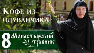 Чем необычен корень обычного одуванчика? Монастырский травник. Кофе из одуванчика