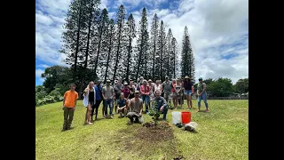 Citrus & Sweet Potato ('Uala) Workshop