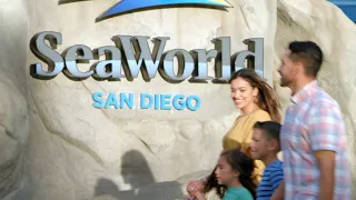 Visit SeaWorld San Diego - It's a CAN'T-MISS Summer!