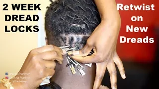 💋2 Week Dreadlocks Retwist | Retwist on New Dreads