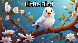 Little Bird