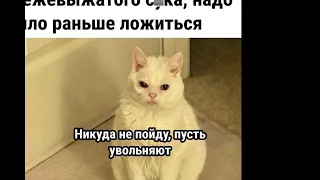 Ржака🤣🤣🤣 спорим ты засмеешься