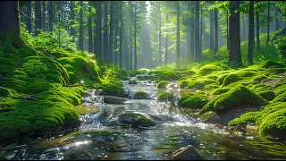 Gentle music that calms the nervous system and pleases the soul 🌿 music for relaxation