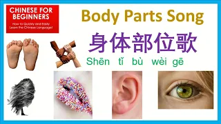 Chinese body part song 身体部位歌  (Learn Mandarin easily)