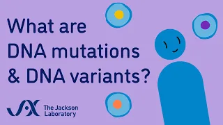 What are DNA variants? | Animation | Minute to Understanding